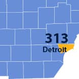 Area Code 313 phone numbers - Detroit