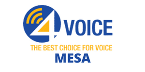 4voice Loves Mesa